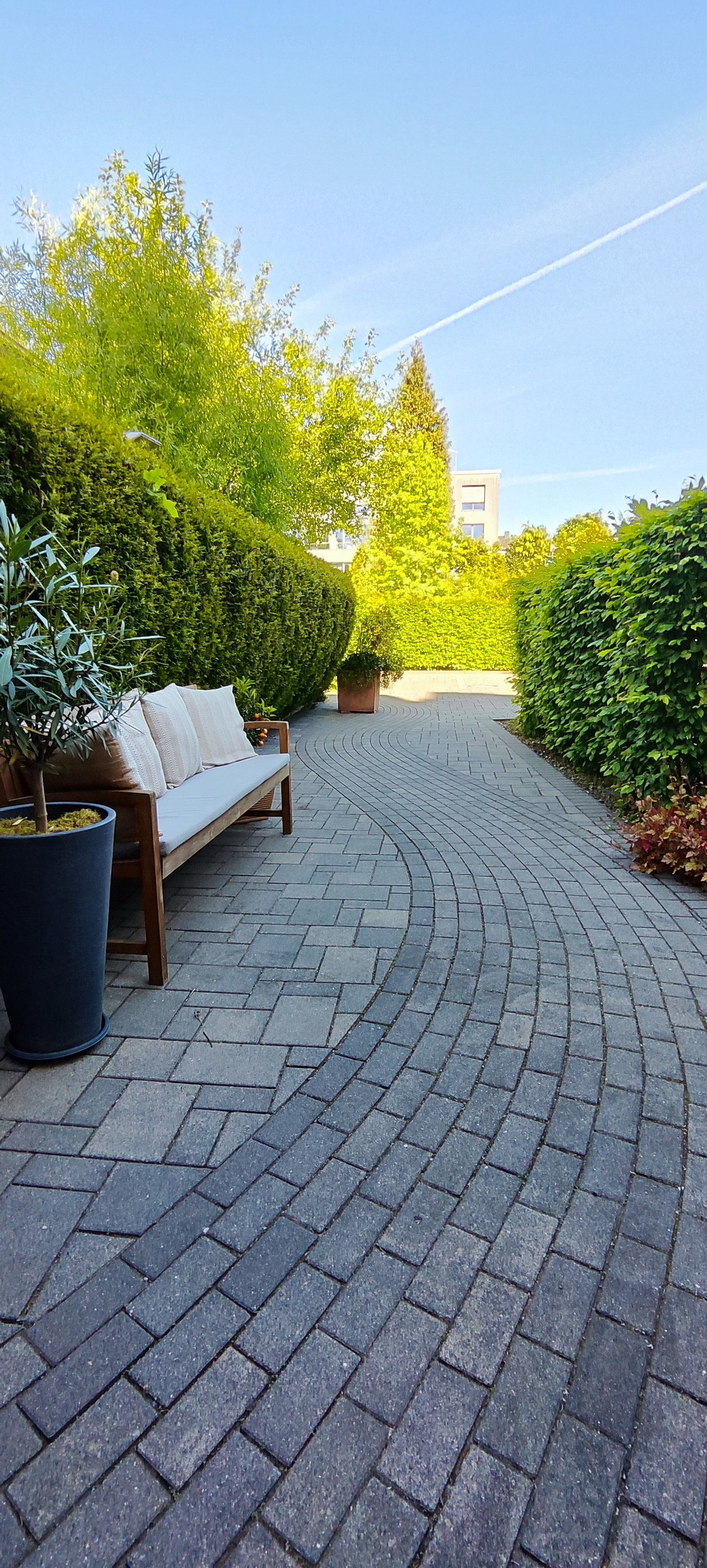 Begrünter Weg zur Hofterrasse